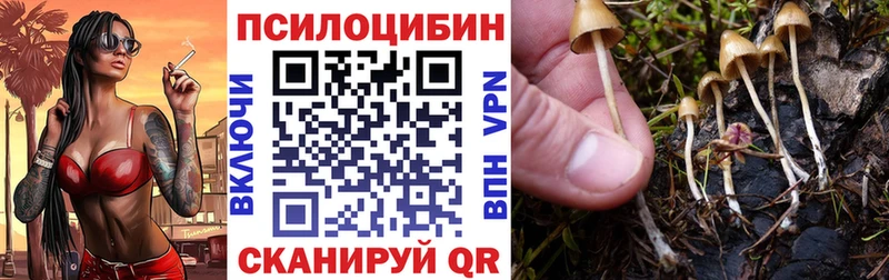 хочу наркоту  Ярославль  Псилоцибиновые грибы MAGIC MUSHROOMS 
